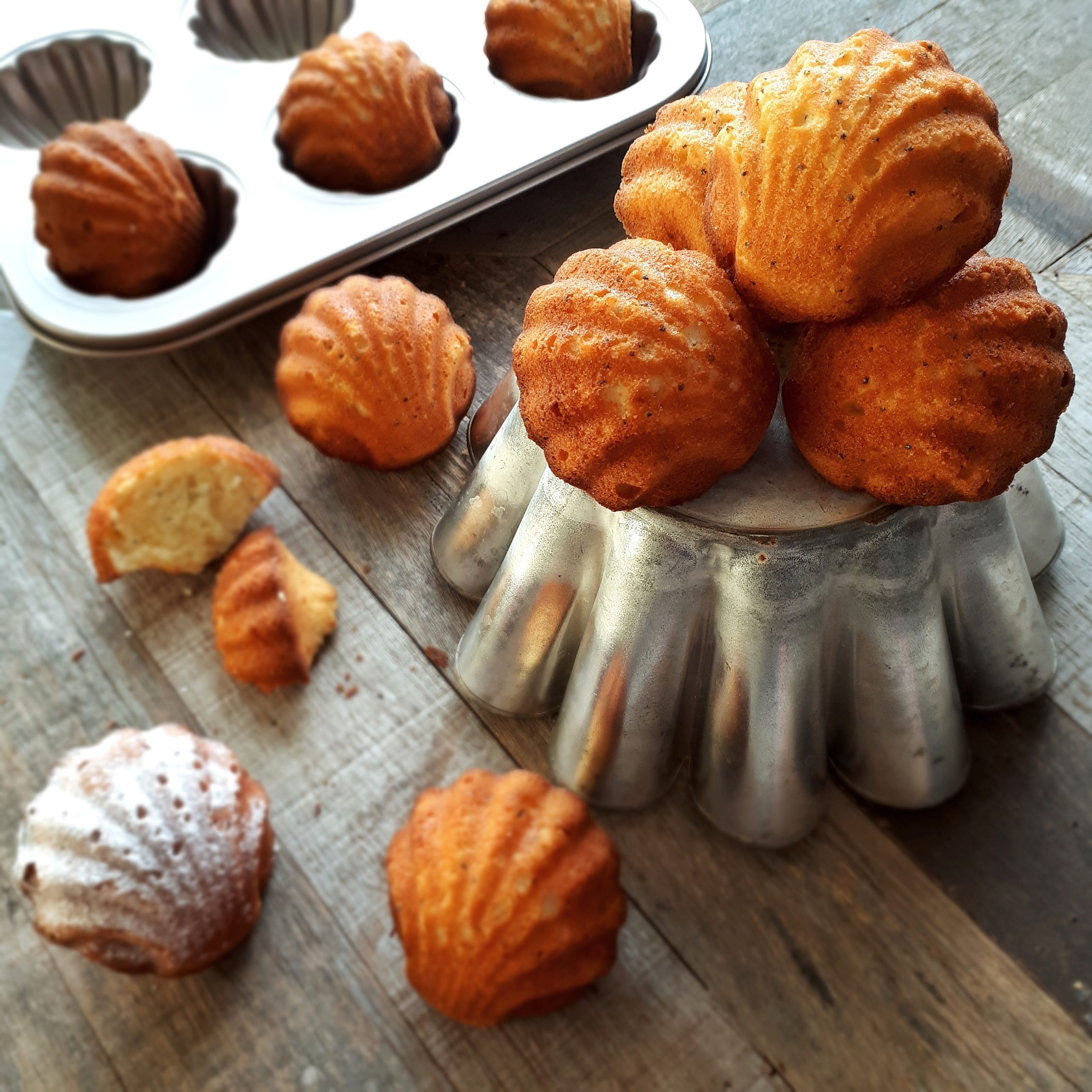 Les Madeleines... - Clelia Bakery